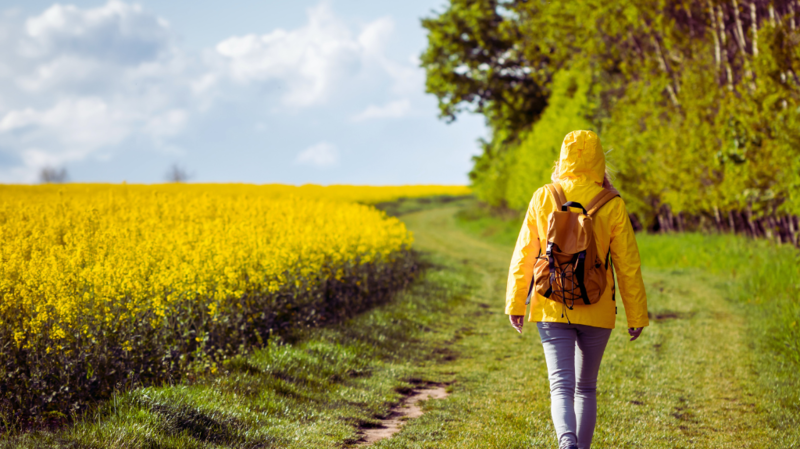 Spring Hikes